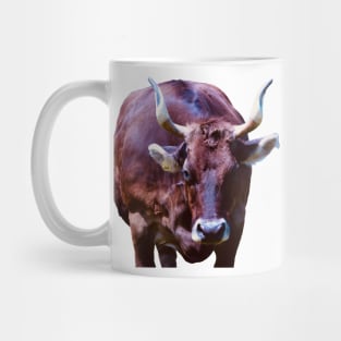 Most beautiful cow in Switzerland / Swiss Artwork Photography Mug